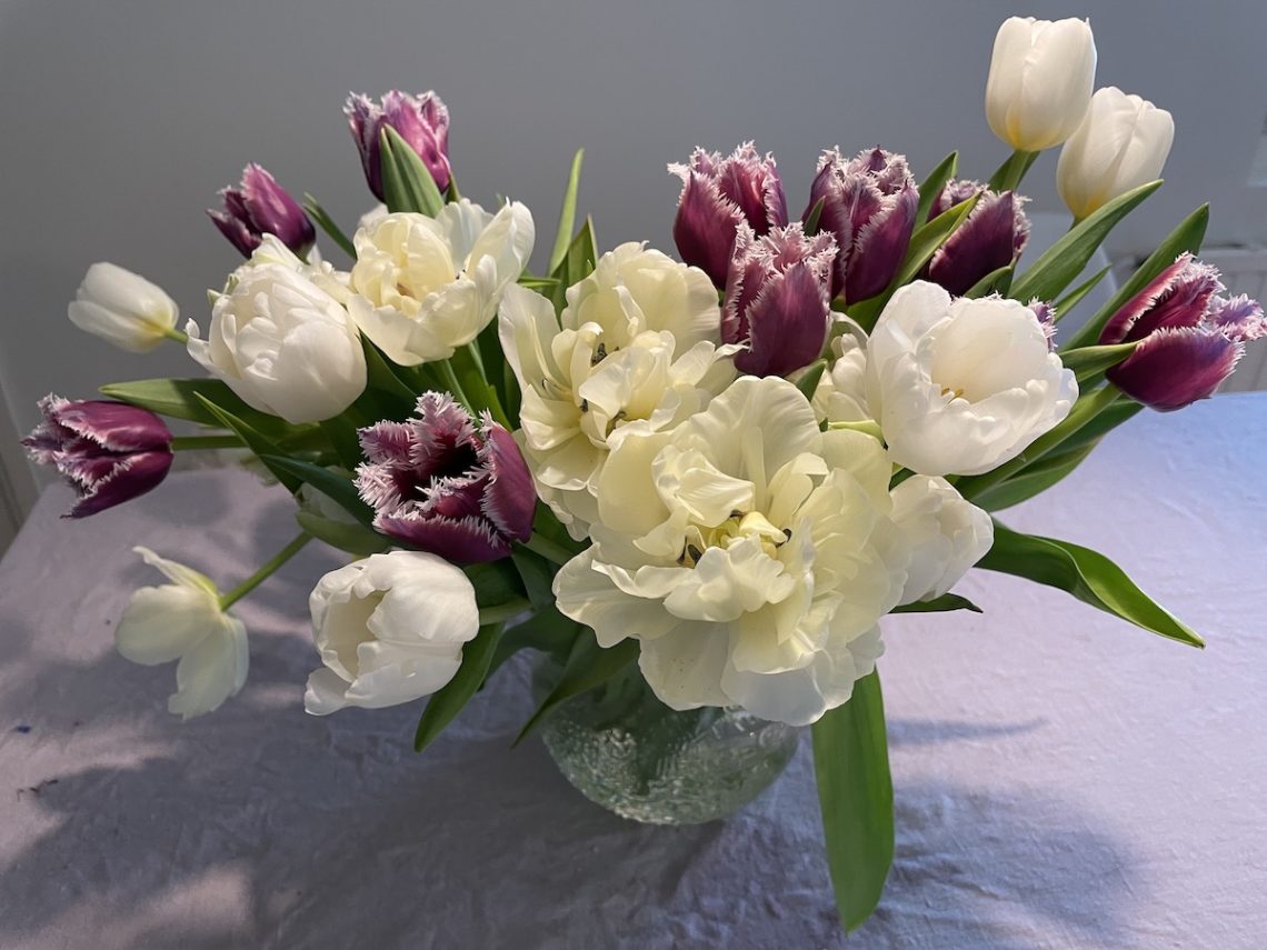 tulppaanien säilytys jääkaapissa