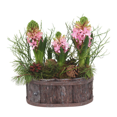 Tuoksun tunnelmaa, vaaleanpunainen