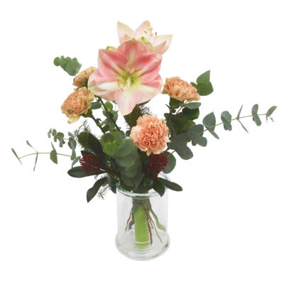 Hempeä joulutervehdys