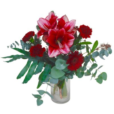 Joulun kaunotar, joulukimppu