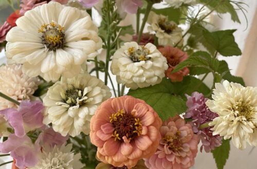 Peach Fuzz kukkakimppu - vuoden väri 2024