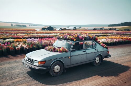 Saab 900 kukkapelto