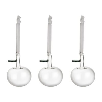 Iittala Iittala lasiomena, 3-pakkaus Kirkas